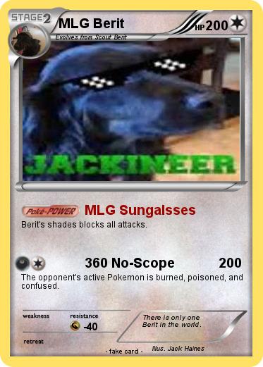 Pokemon MLG Berit
