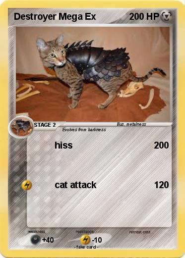 Pokemon Destroyer Mega Ex