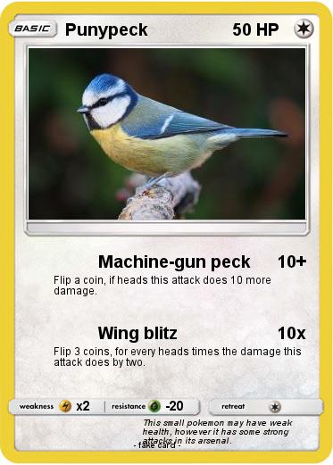 Pokemon Punypeck