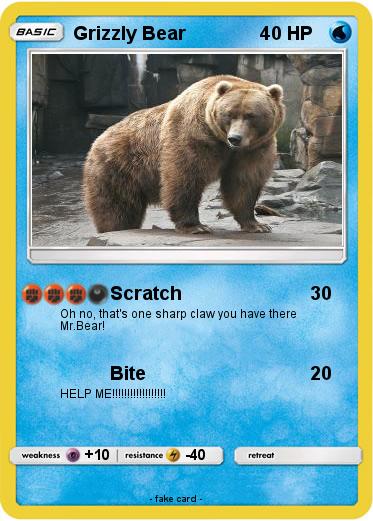 Pokemon Grizzly Bear