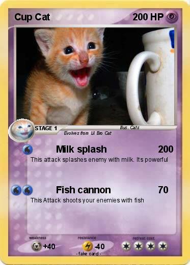 Pokemon Cup Cat