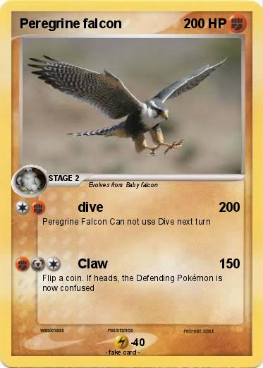 Pokemon Peregrine falcon