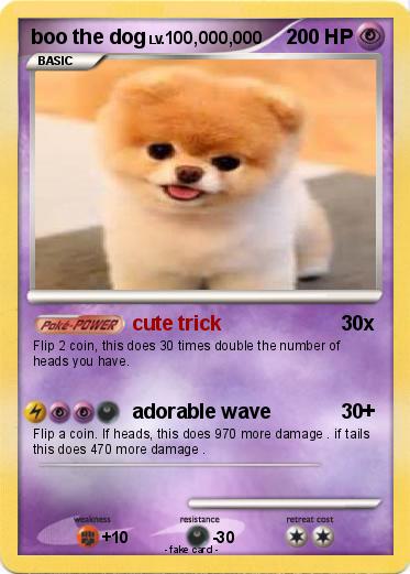 Pokemon boo the dog