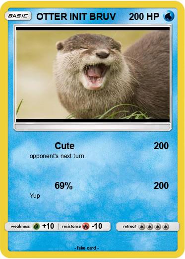 Pokemon OTTER INIT BRUV