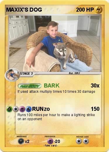 Pokemon MAXIX'S DOG