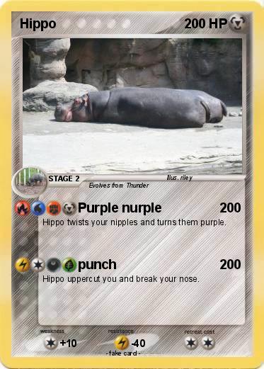 Pokemon Hippo
