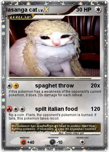 Pokemon lasanga cat