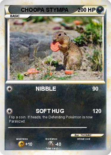 Pokemon CHOOPA STYMPA