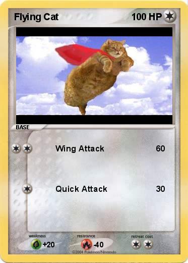 Pokemon Flying Cat