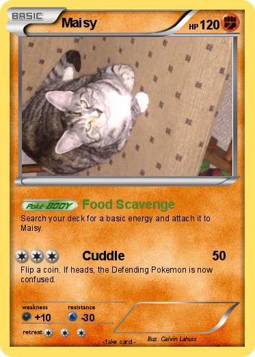 Pokemon Maisy