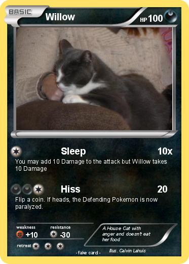 Pokemon Willow