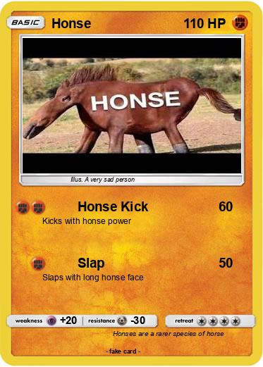 Pokemon Honse