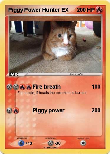Pokemon Piggy Power Hunter EX