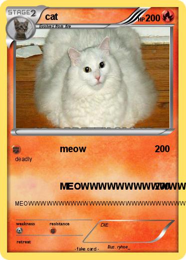 Pokemon cat