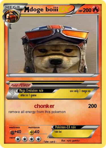 Pokemon doge boiii