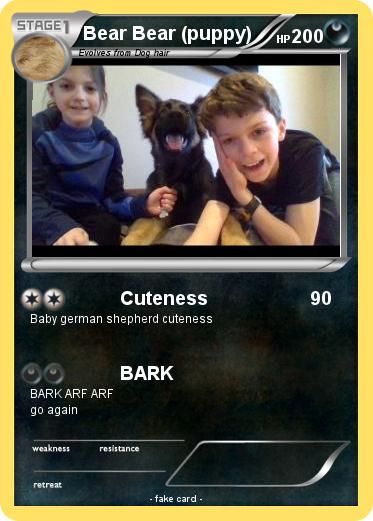 Pokemon Bear Bear (puppy)