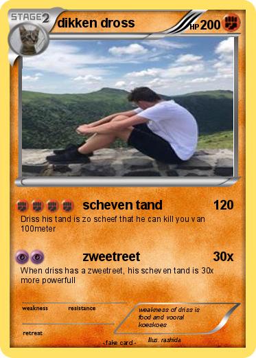 Pokemon dikken dross