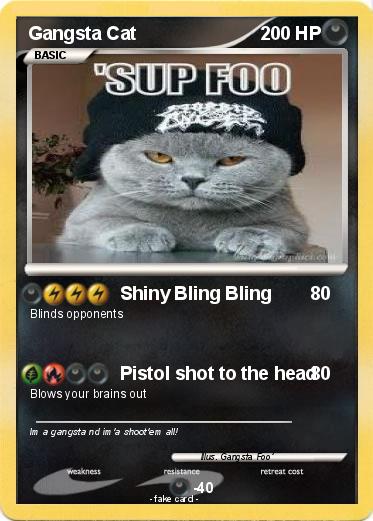 Pokemon Gangsta Cat