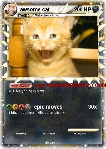 Pokemon awsome cat