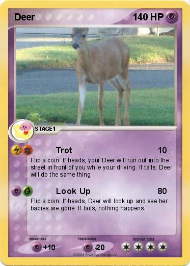 Pokemon Deer