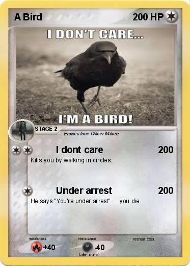 Pokemon A Bird