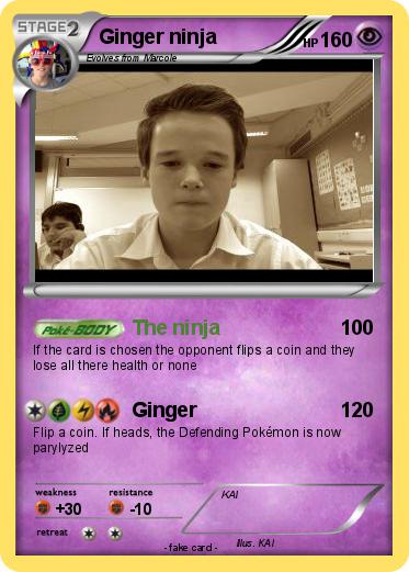 Pokemon Ginger ninja