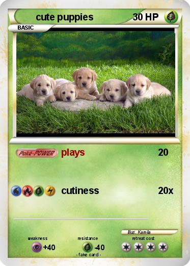 Pokemon cute puppies Pokemon cute puppies