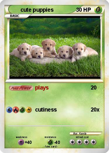 Pokemon cute puppies