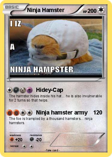 Pokemon Ninja Hamster