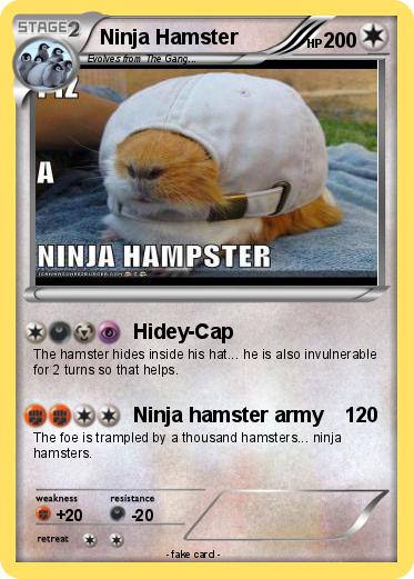 Pokemon Ninja Hamster