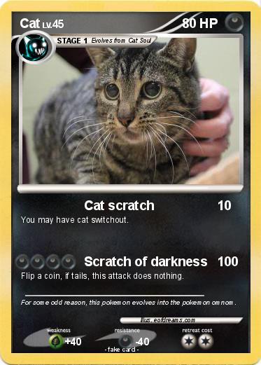 Pokemon Cat