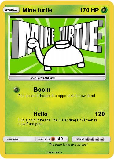 Pokemon Mine turtle