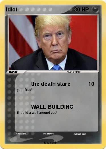Pokemon idiot