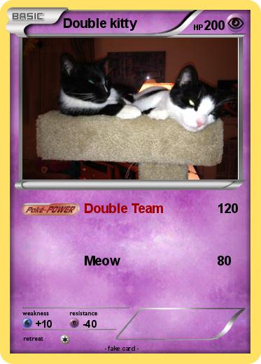 Pokemon Double kitty