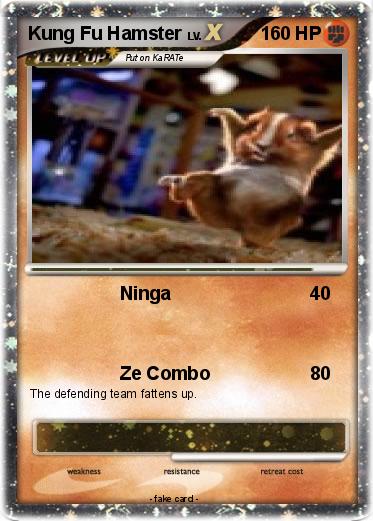 Pokemon Kung Fu Hamster