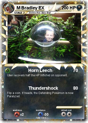 Pokemon M Bradley EX
