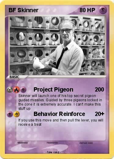Pokemon BF Skinner