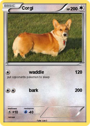 Pokemon Corgi