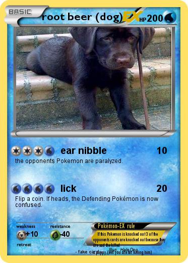 Pokemon root beer (dog)