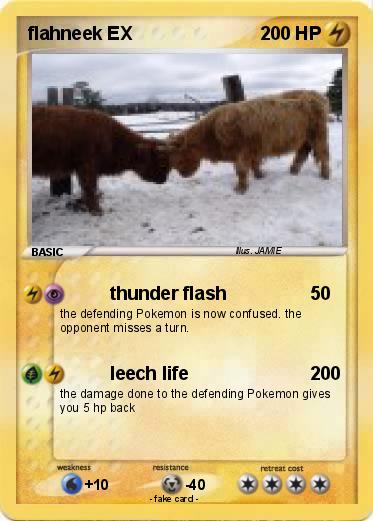 Pokemon flahneek EX