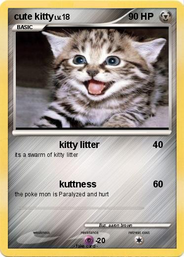 Pokemon cute kitty