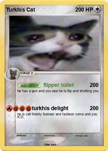 Pokemon Turkhis Cat