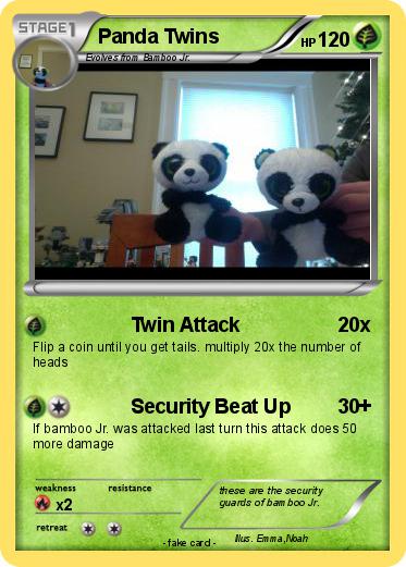 Pokemon Panda Twins