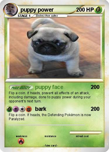 Pokemon puppy power