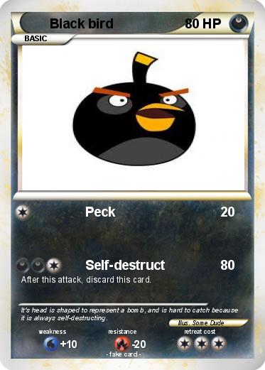 Pokemon Black bird