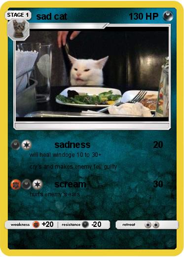Pokemon sad cat