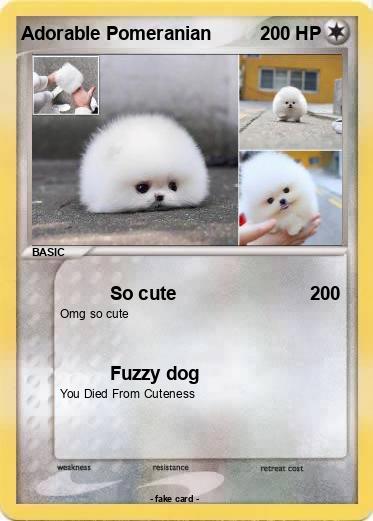 Pokemon Adorable Pomeranian