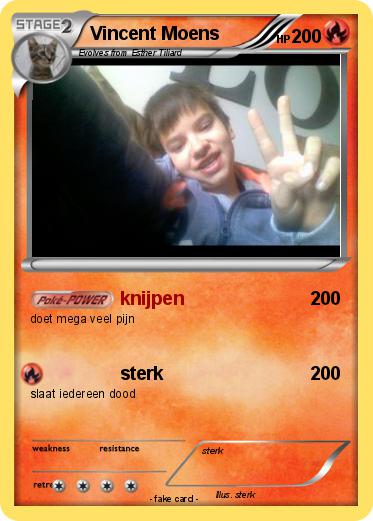 Pokemon Vincent Moens