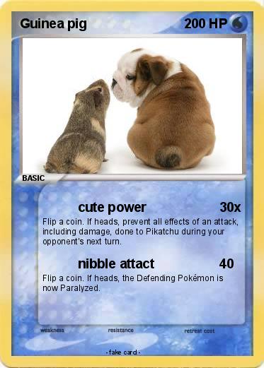 Pokemon Guinea pig