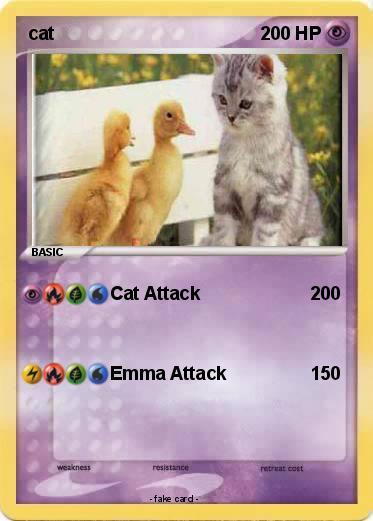 Pokemon cat